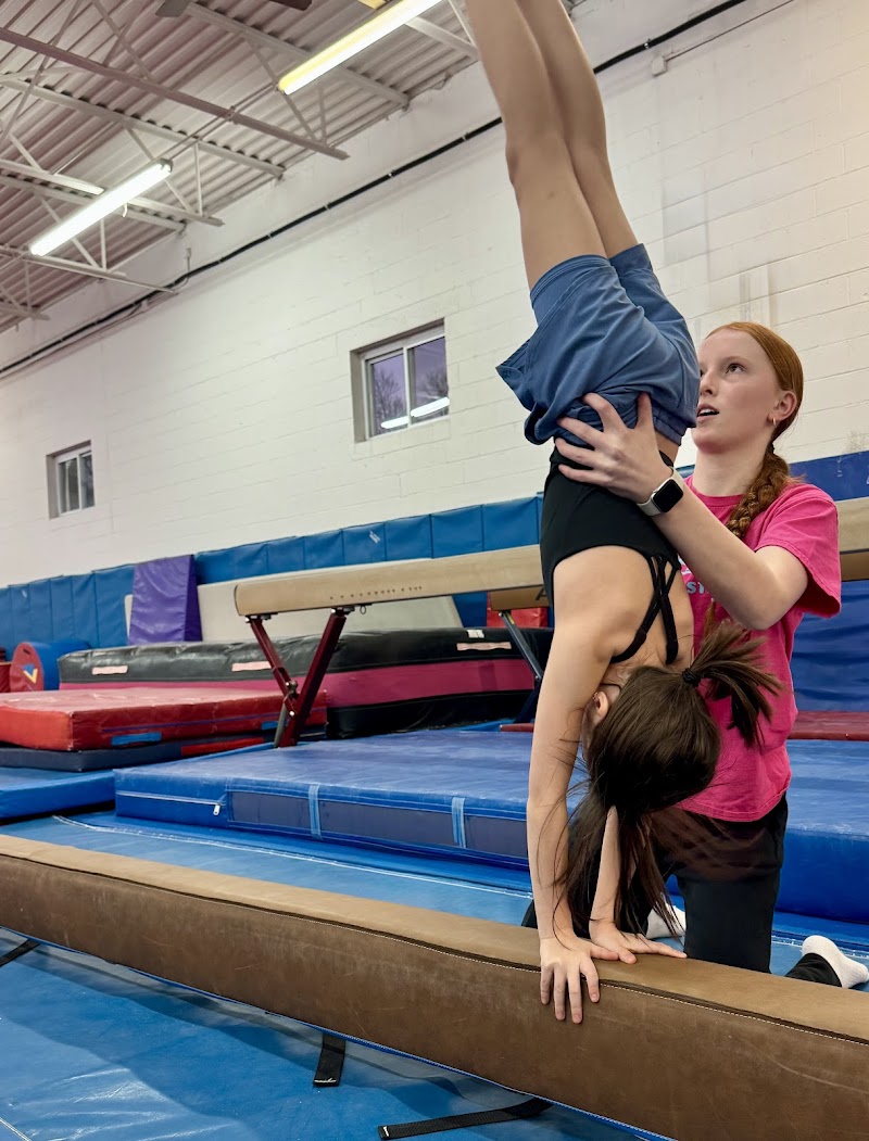 Somerton School of Gymnastics photo 2