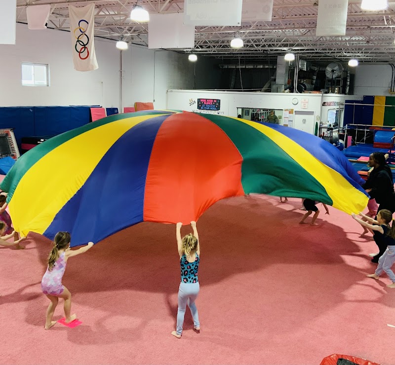 Somerton School of Gymnastics photo 3