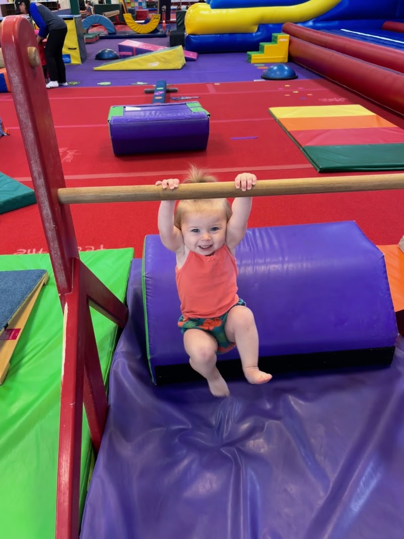 Twist N Flip Gymnastics Glenmont photo 3