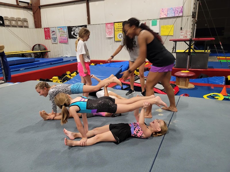 Tiger Academy of Gymnastics photo 2