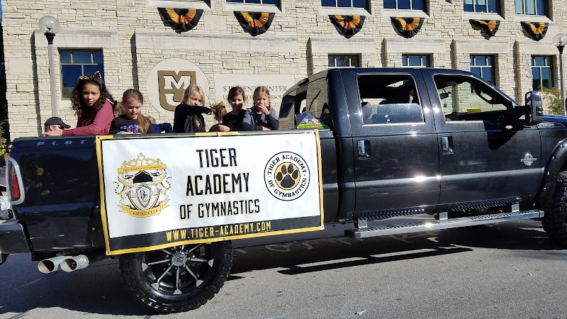 Tiger Academy of Gymnastics photo 3