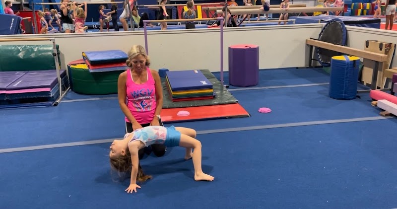 WGV Gymnastics photo 3