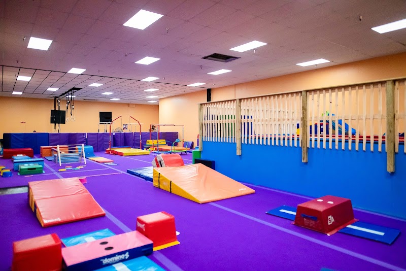 Top Star Trampoline and Tumbling