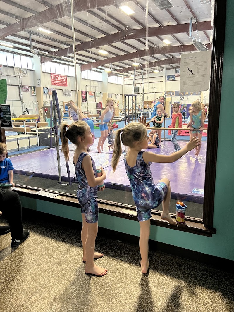 Hahn's Gymnastics LLC photo 3