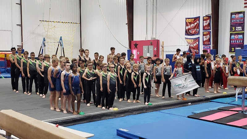 Gymnstarz Elite photo 3