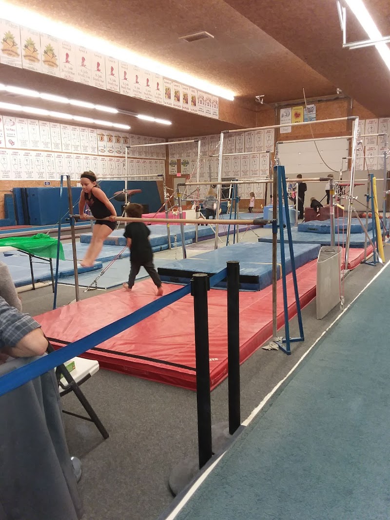 Gymnastics X-Calibur