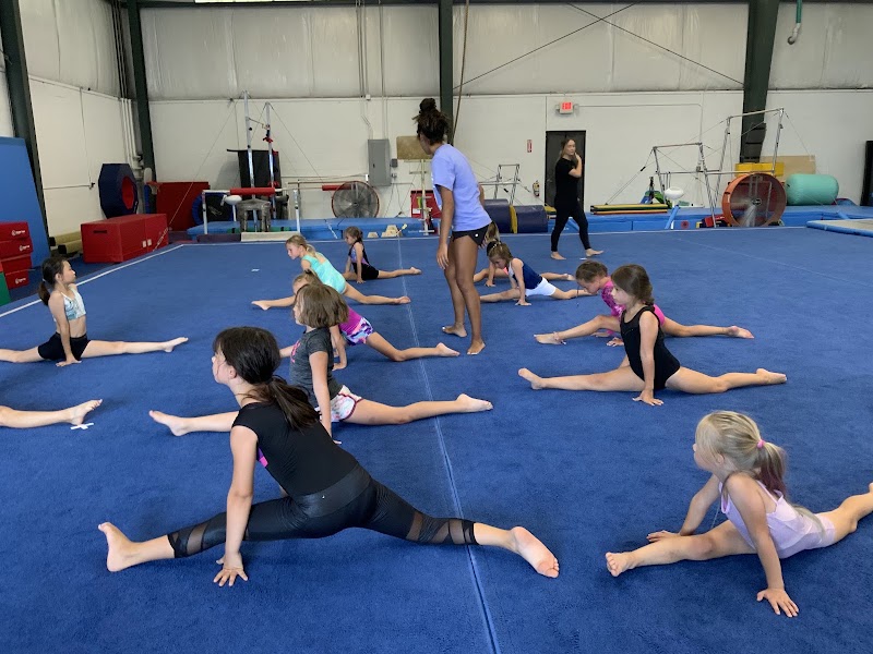 CK Gymnastics photo 2