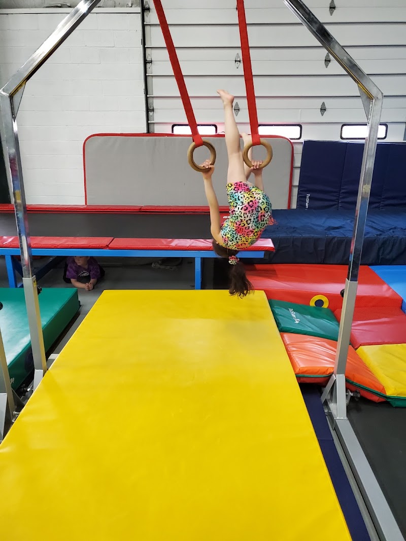 CK Gymnastics photo 3