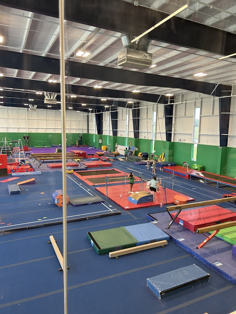 Metro Stars Gymnastics - LaVista