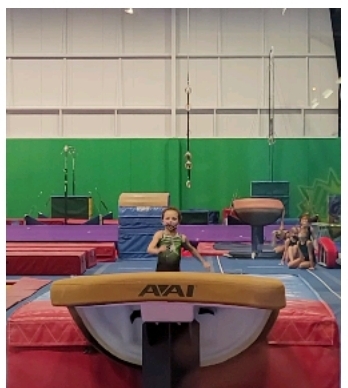 Metro Stars Gymnastics - LaVista photo 3