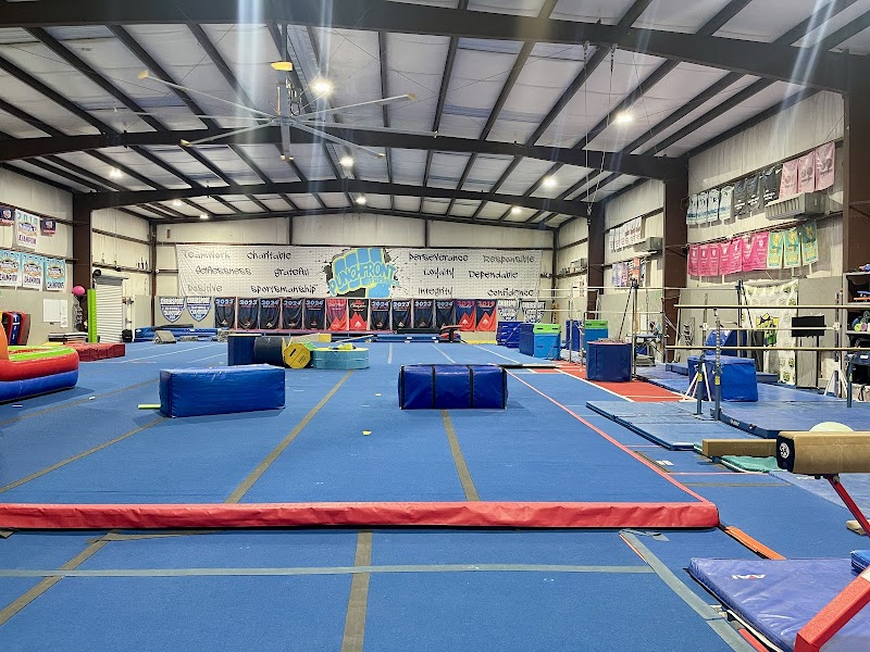 Punch Front Gymnastics and Cheer photo 2