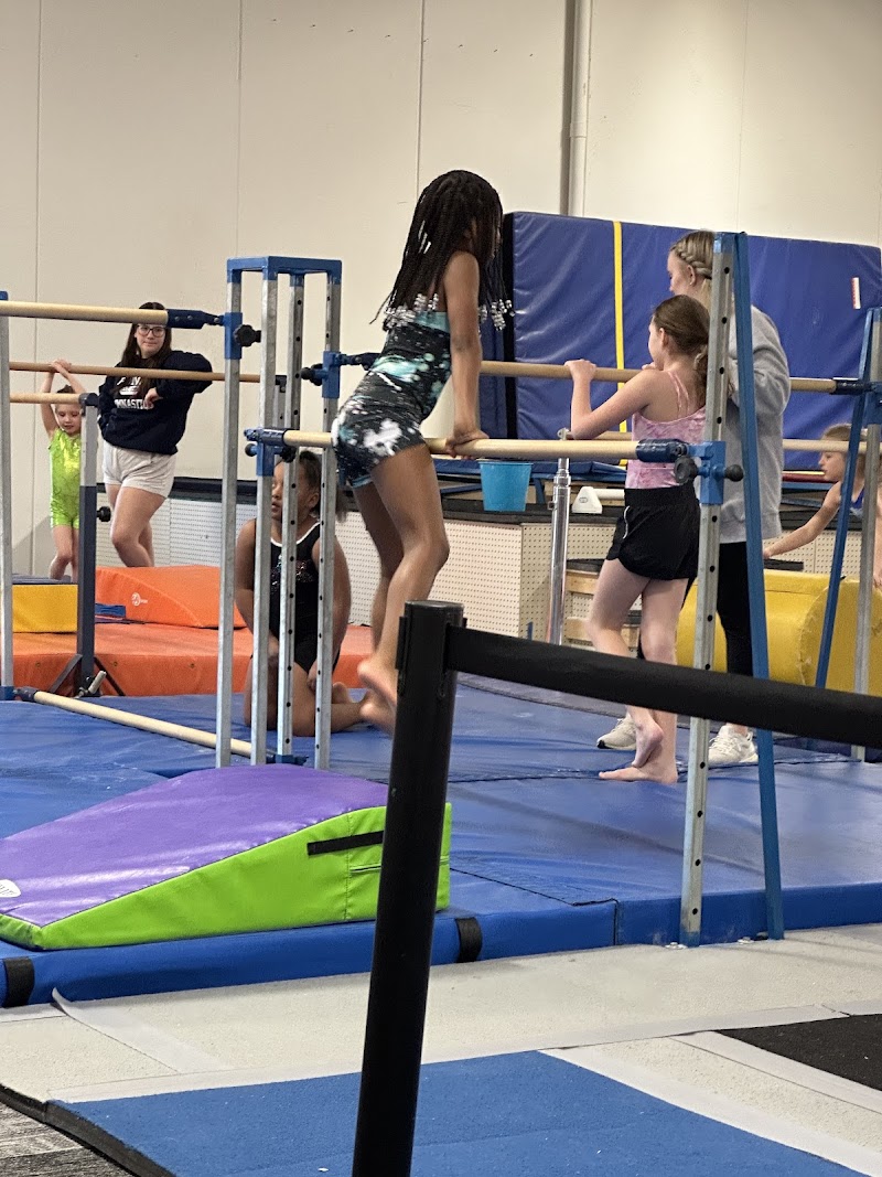 Pioneer Gymnastics Academy