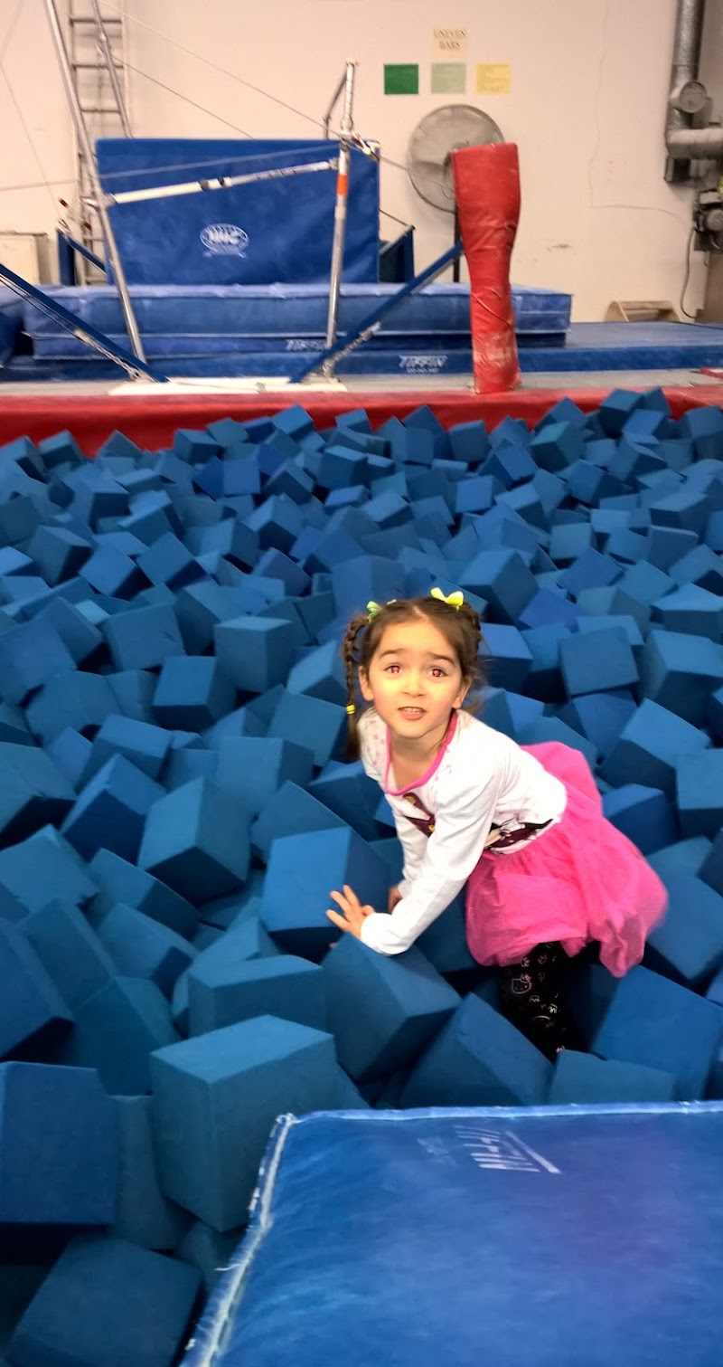 United Gymnastix photo 3