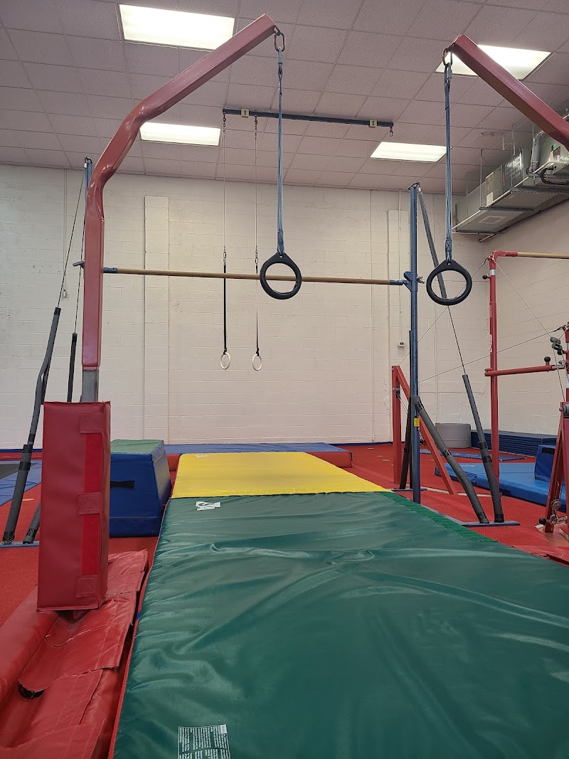 Wendy's Gymnastics & Fitness for Children photo 2