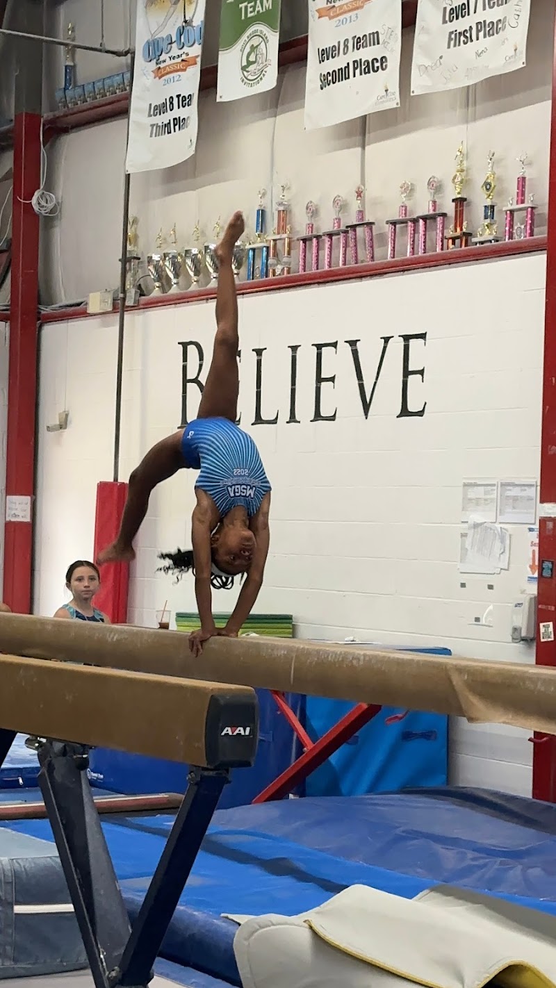 Metro South Gymnastics Academy