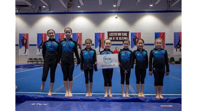 Aerials Gymnastics and Sports Conditioning