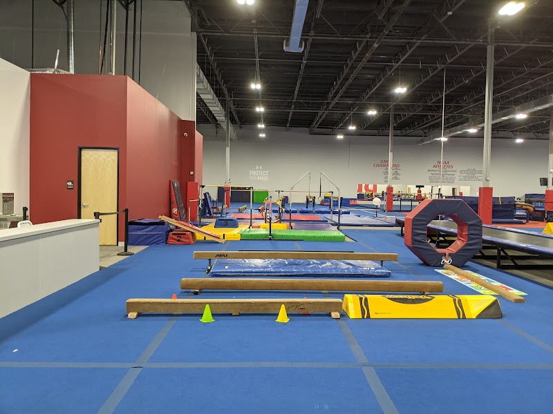 Gold Medal Gymnastics photo 2