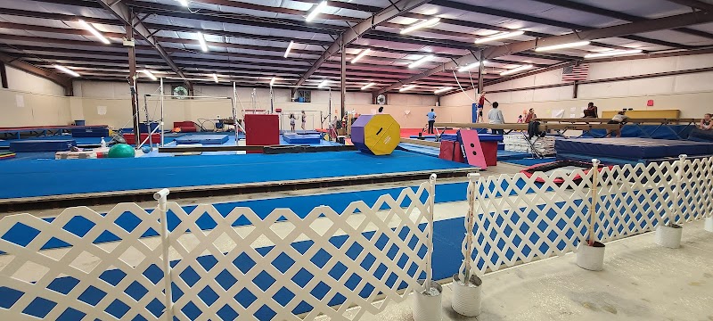 In Bound Gymnastics photo 3