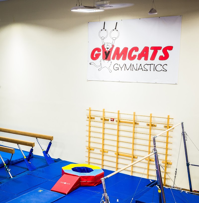 Gym Cats photo 3