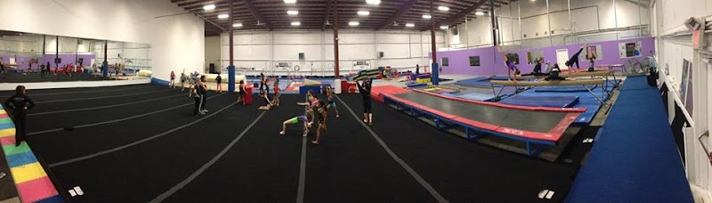 Angie's Gymnastics photo 3