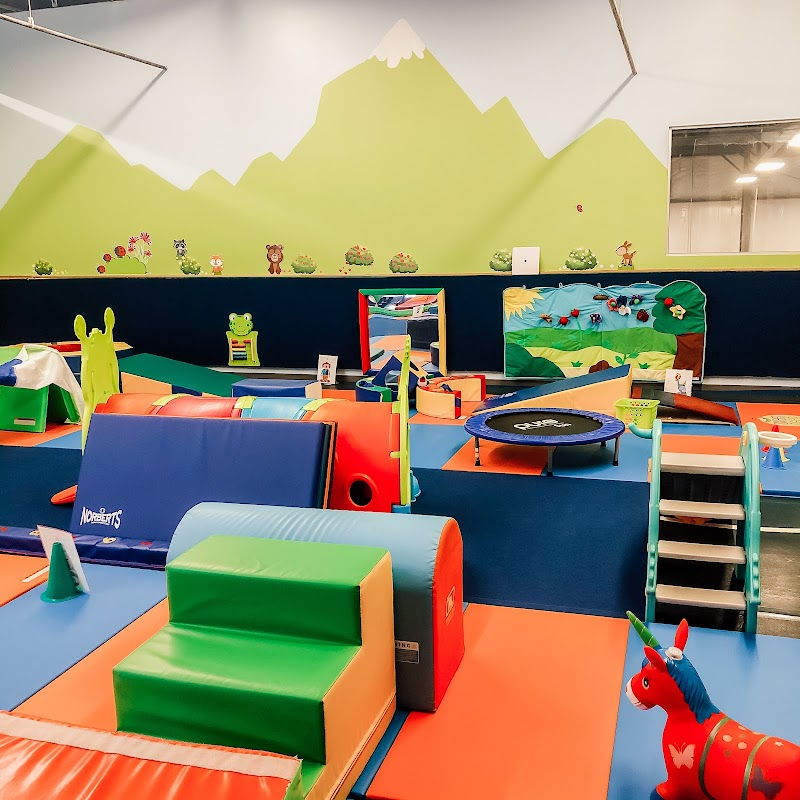 Roots Gymnastics Center photo 3