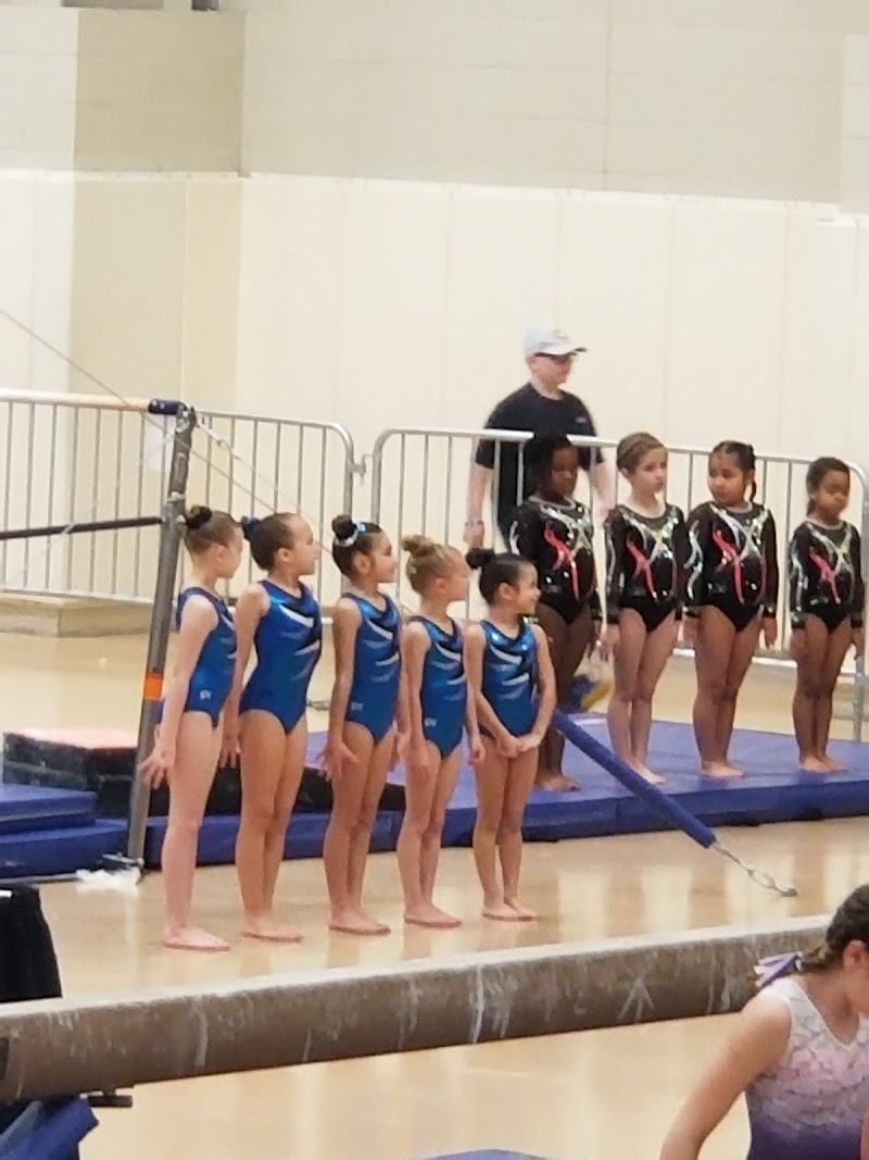 All Star Gymnastics photo 2