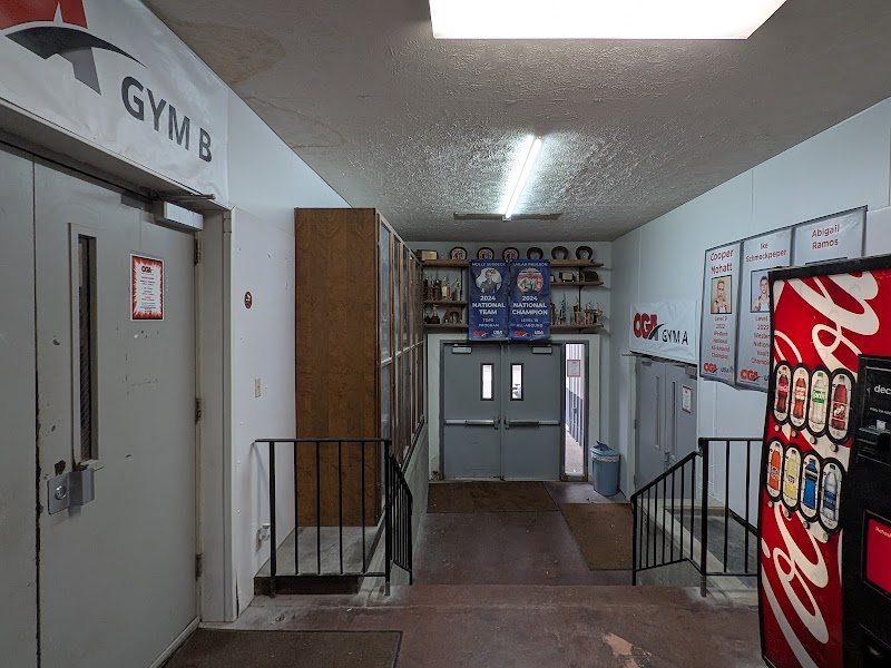 Omega School of Gymnastics photo 3