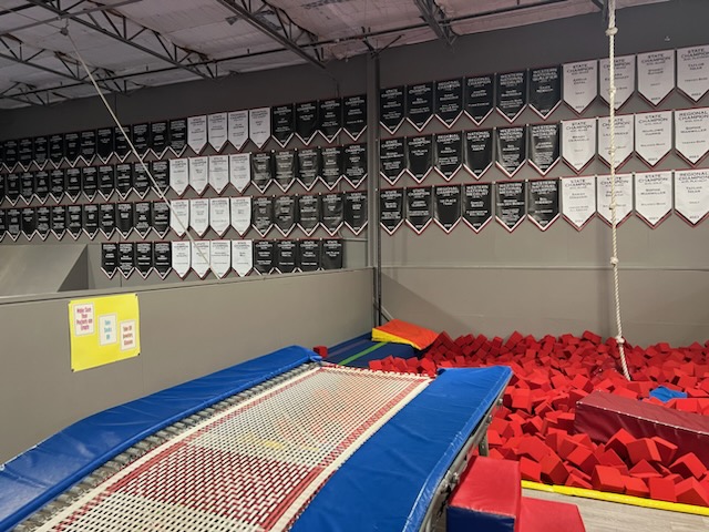 Oregon Gymnastics Academy photo 3