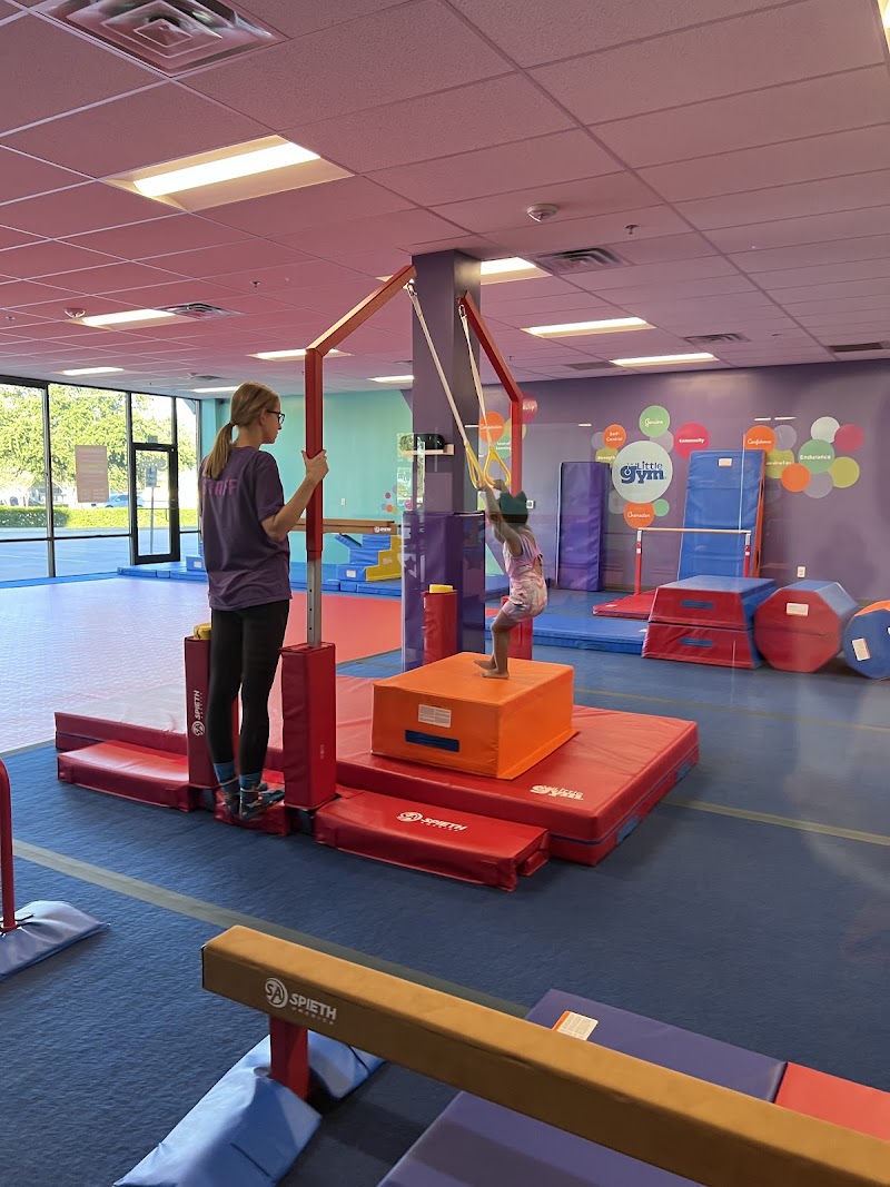 The Little Gym of Roanoke photo 3