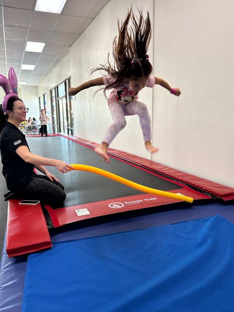 San Diego Gymnastics & Parkour Point Loma photo 3