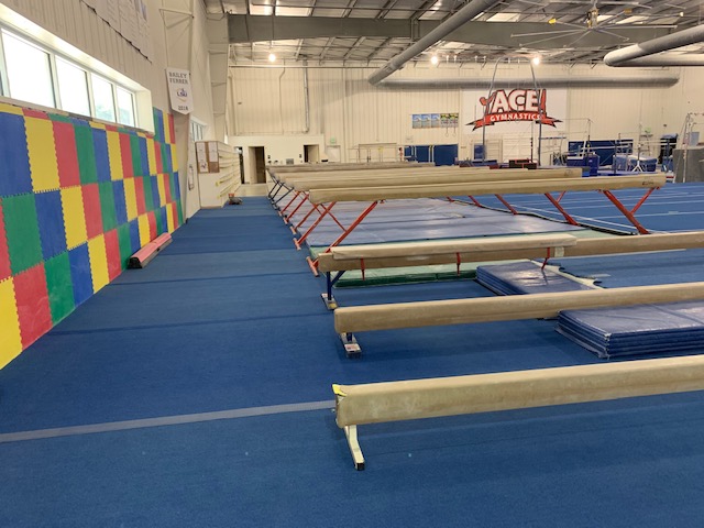 ACE Gymnastics-Longwood photo 2