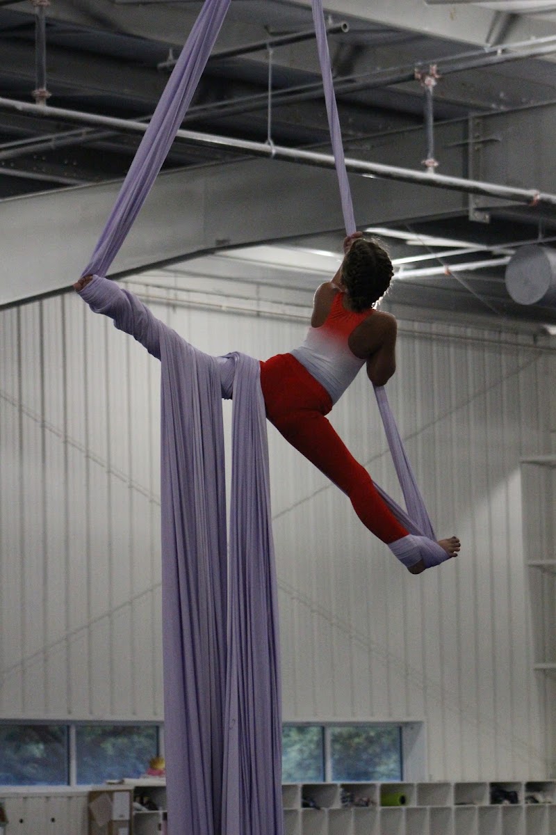 ACE Gymnastics-Longwood photo 3