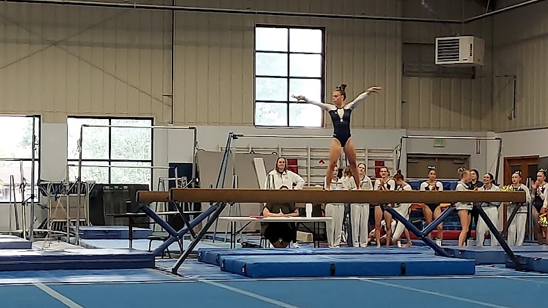GK Gymnastics photo 3