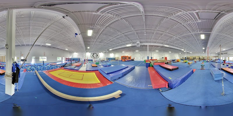 Elite Gymnastic Academy LLC photo 2