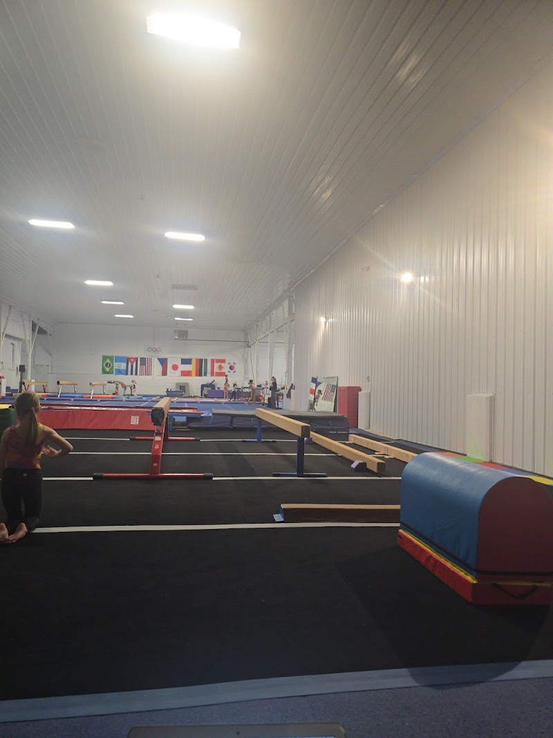 Ricna Elite Gymnastics Academy