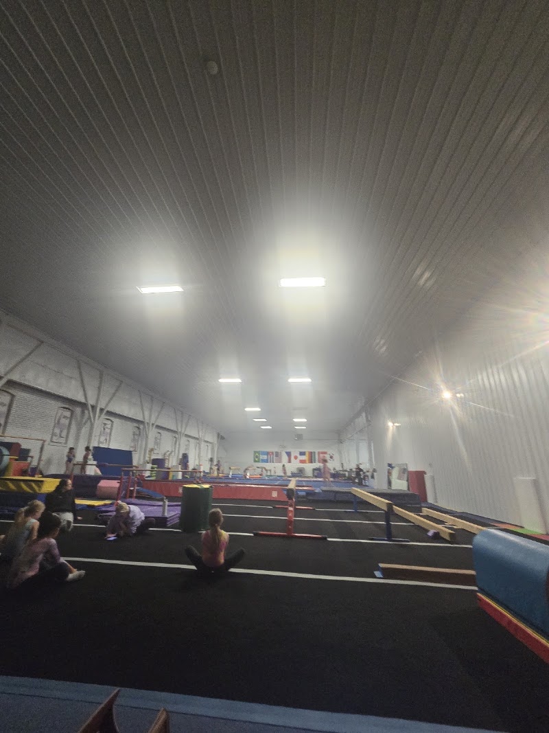 Ricna Elite Gymnastics Academy photo 3