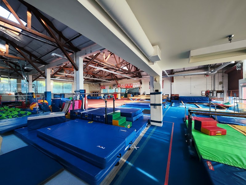 American Gymnastics