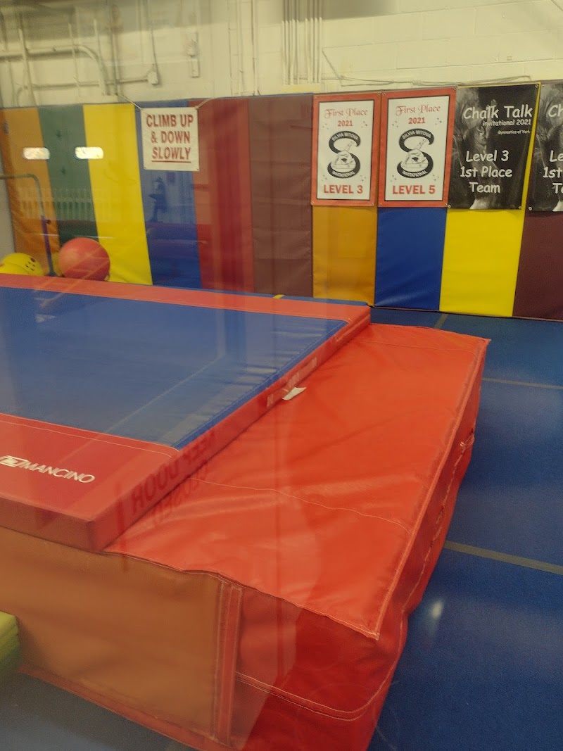 Gymolympic Sports Academy photo 2