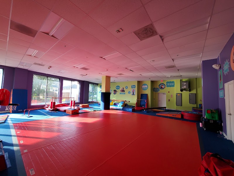 The Little Gym of Arlington photo 2