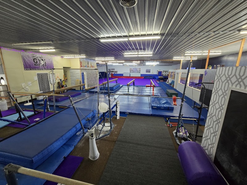 Tecumseh Gymnastics photo 3