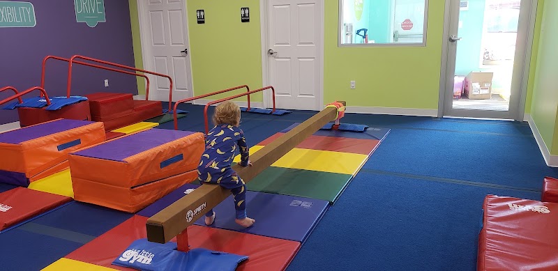The Little Gym of Kansas City Prairie Village photo 2