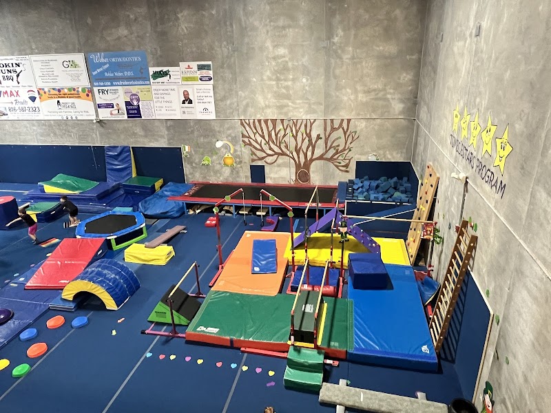 Mercury Gymnastics photo 2