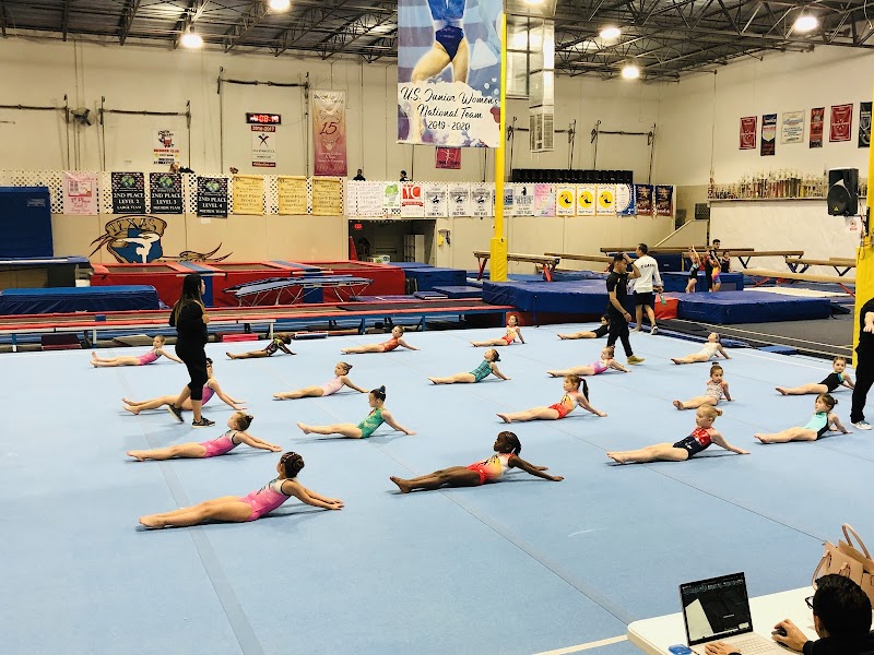 Discover Gymnastics Inc.