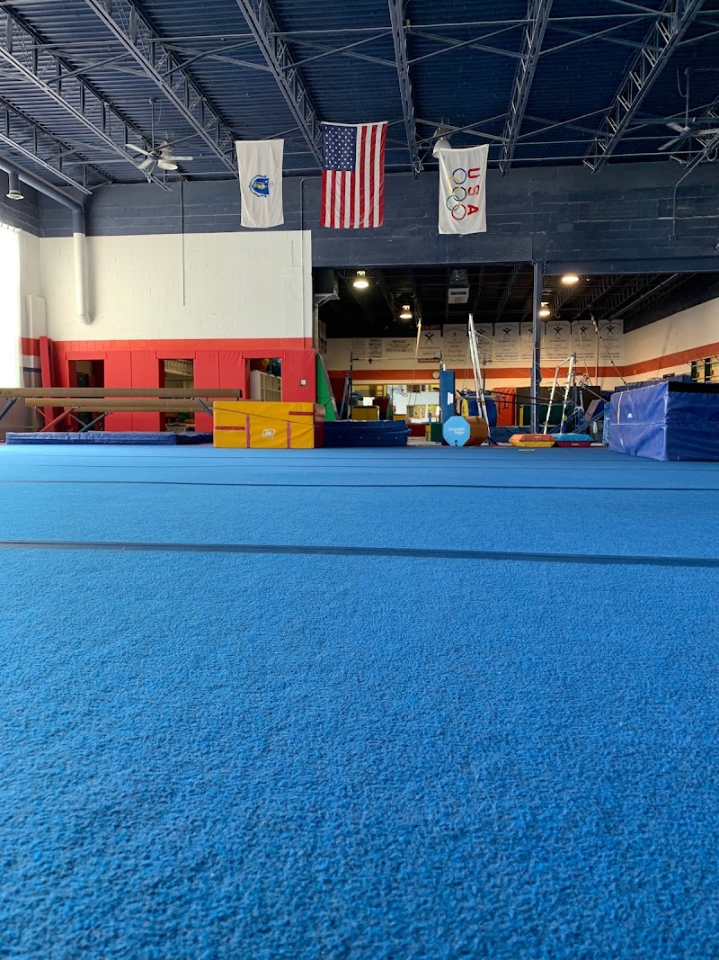 HCL Gymnastics Express photo 3