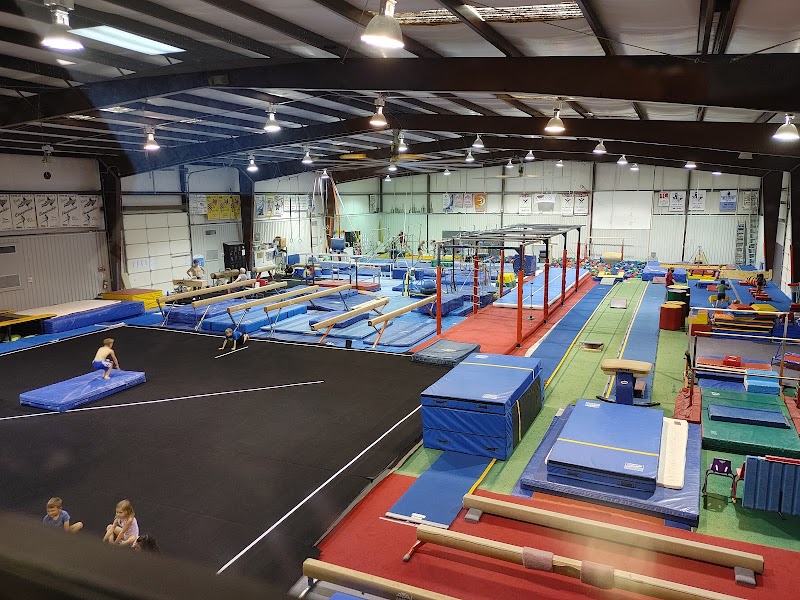 Texas Star Gymnastiics photo 2