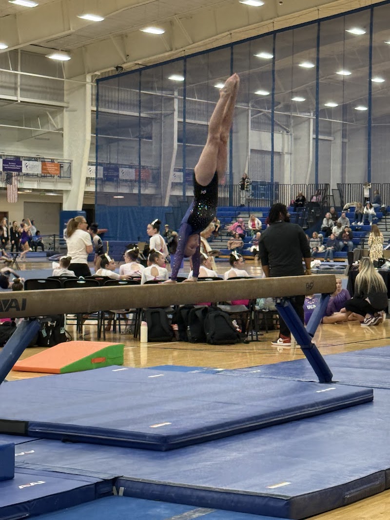 Taylor Gymnastics Cheerleading and Dance photo 3