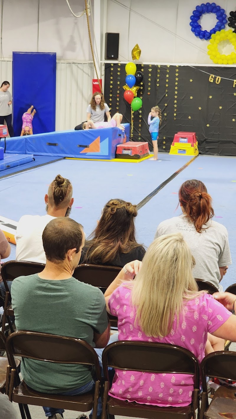 Central Carolina Gymnastics photo 3