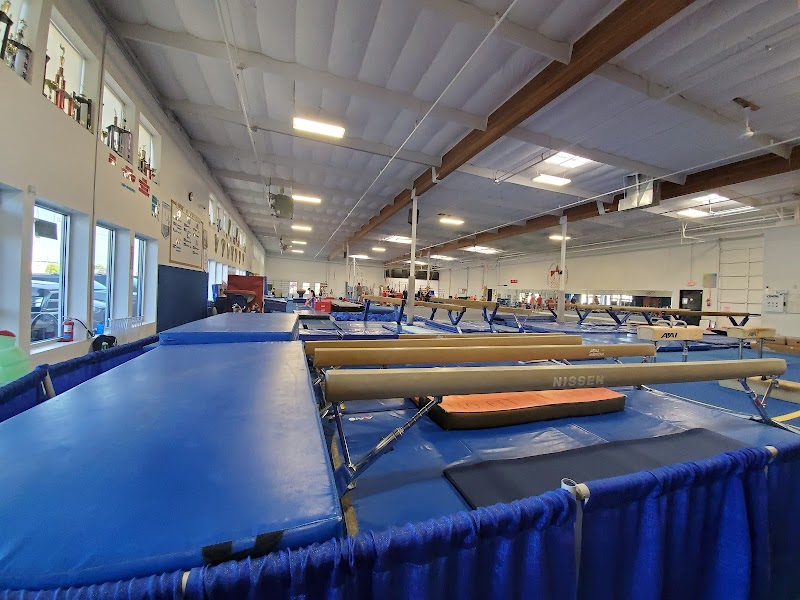 National Academy of Artistic Gymnastics photo 2