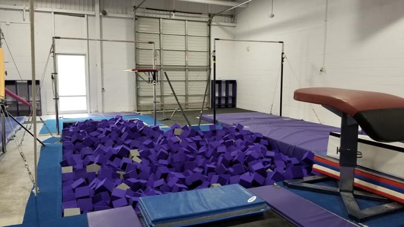 Renzi Gymnastics Academy photo 3