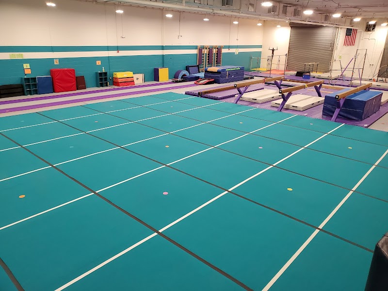 Dynamic Gymnastics